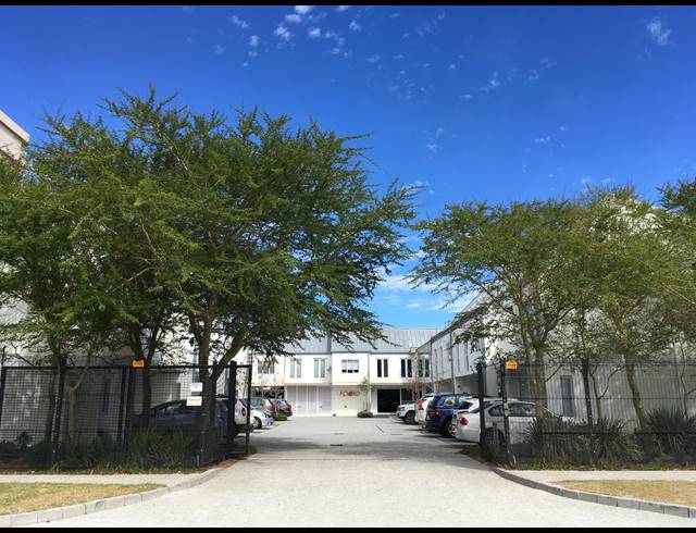 179M² OFFICE RENTED IN PINELANDS